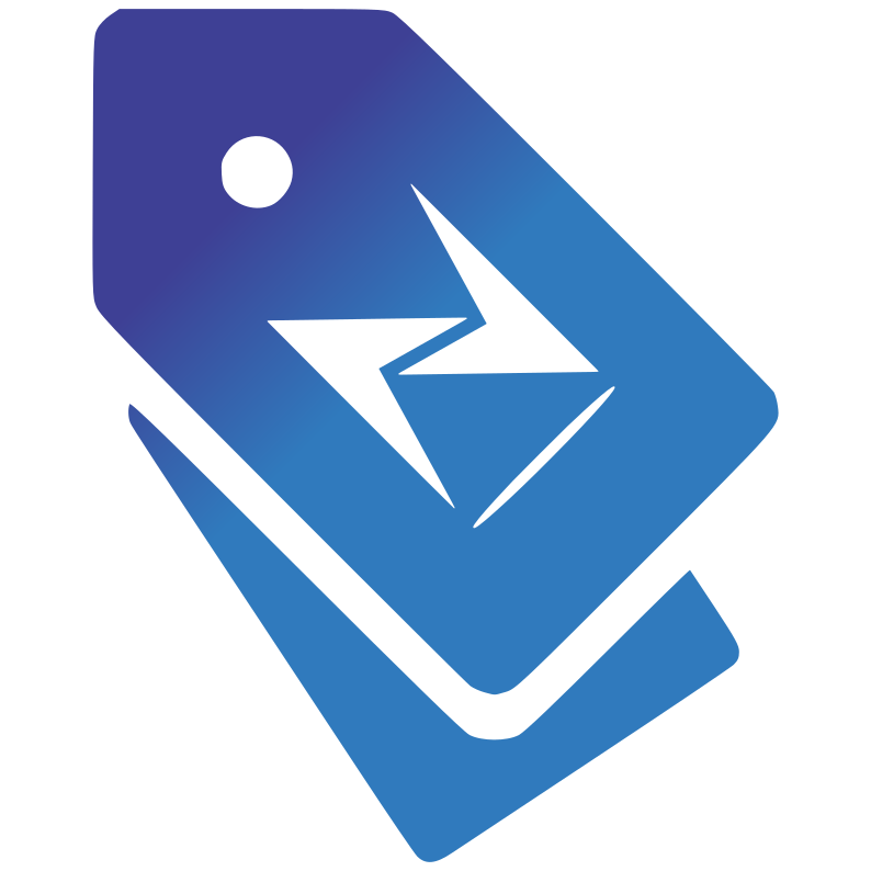Net Pro Systems Logo Tag